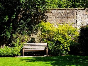 Prikkelarme buitenruimte met houten tuinbank, grind en groenblijvende planten in neutrale aardetinten