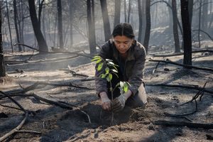 Persoon plant jong boompje in as van verbrand bos